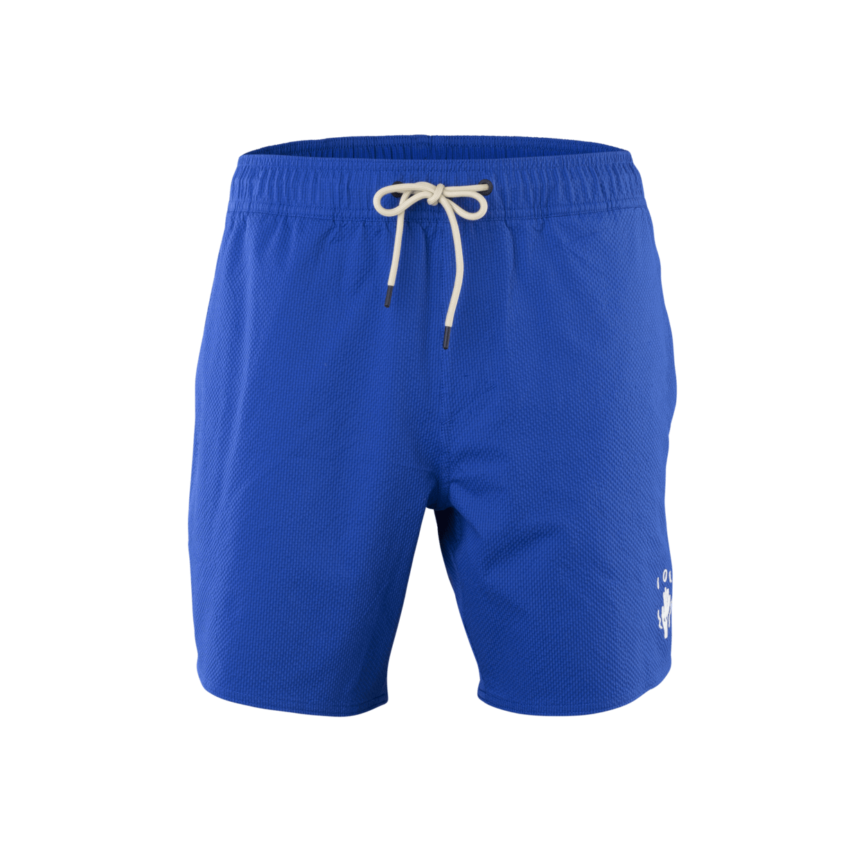 ION Boardshorts Slade 17" men 2025