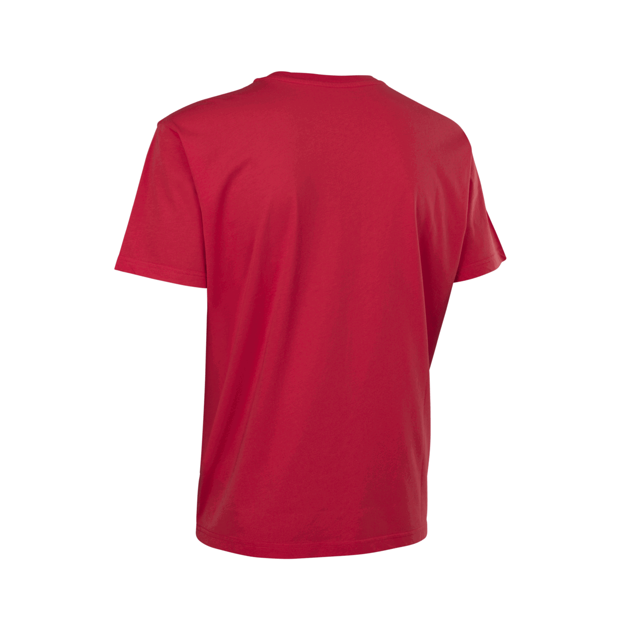 ION Tee Ionic SS men 2027