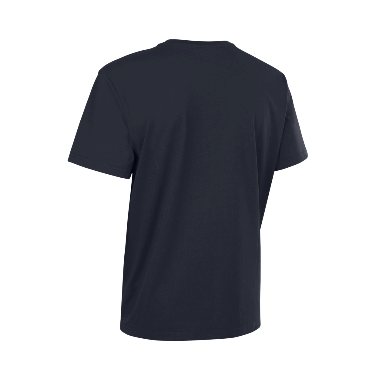ION Tee Ionic SS men 2027