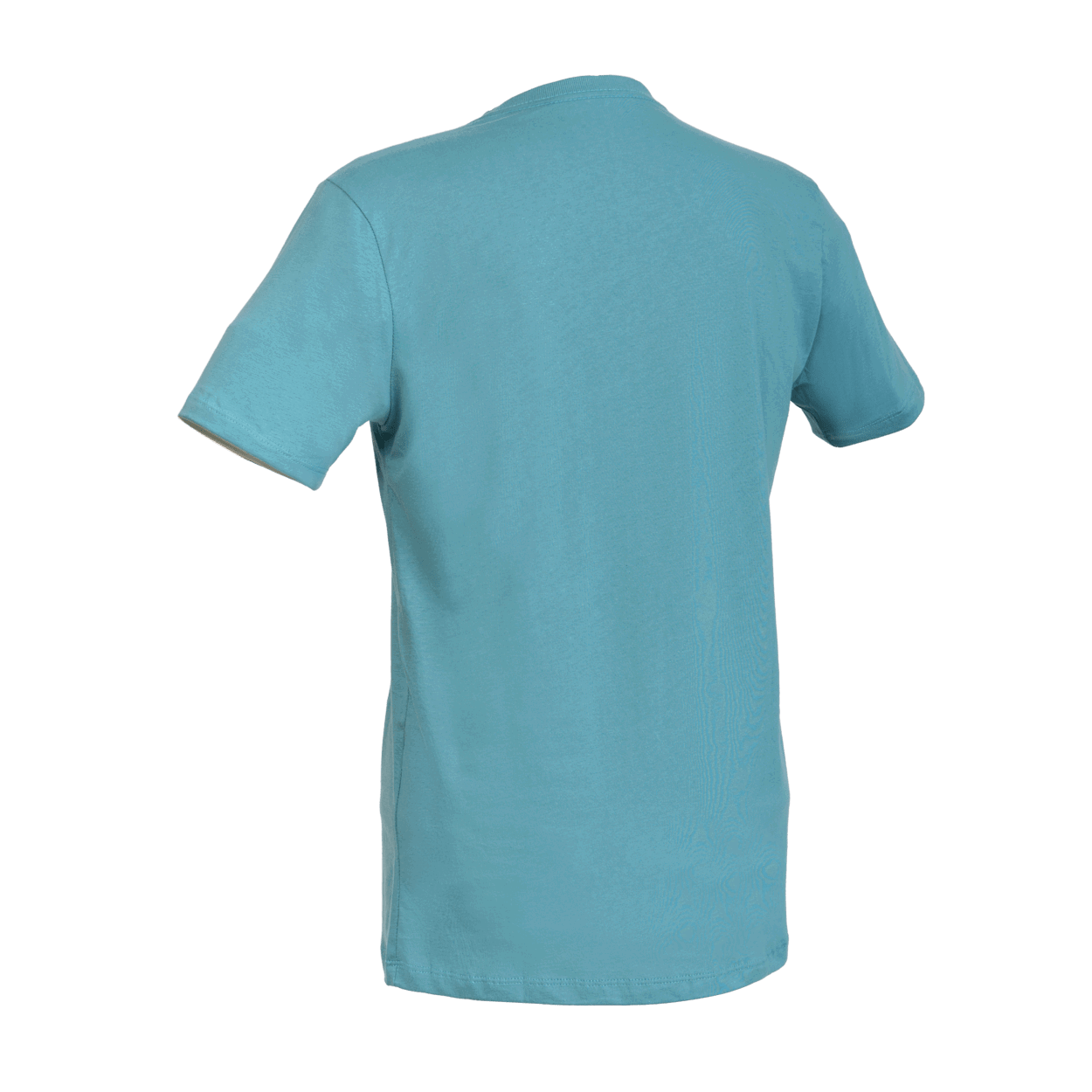 ION Tee Logo BRA SS men 2024