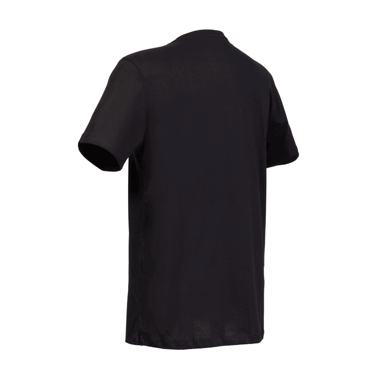 ION Tee Logo BRA SS men 2024