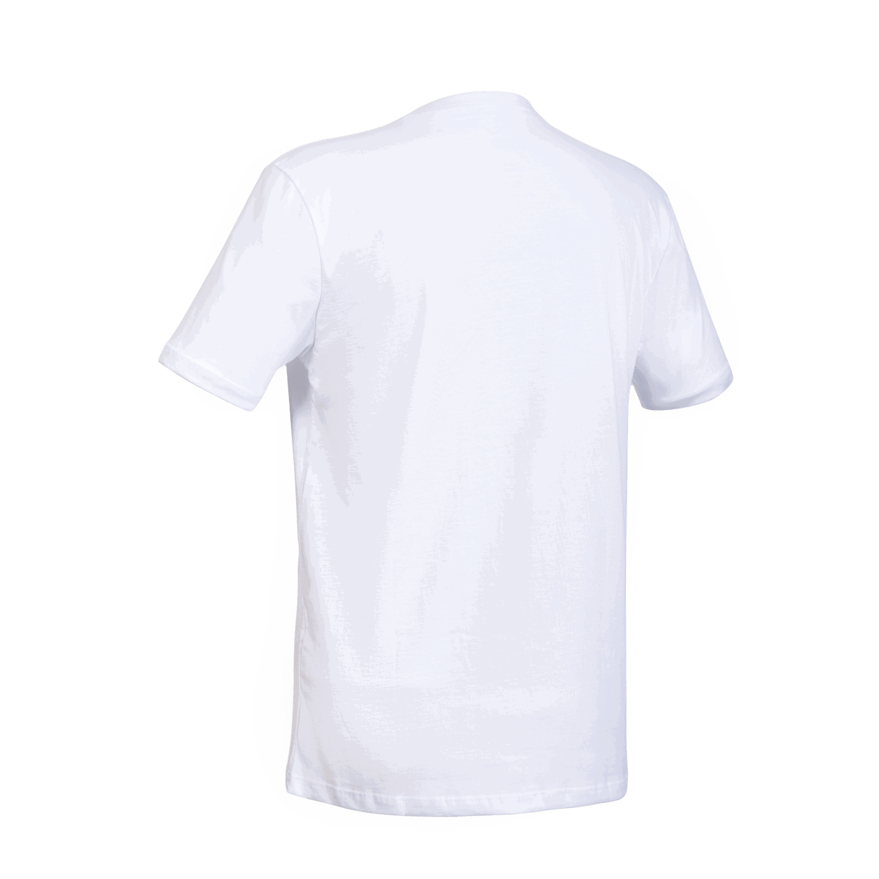 ION Tee Logo BRA SS men 2024