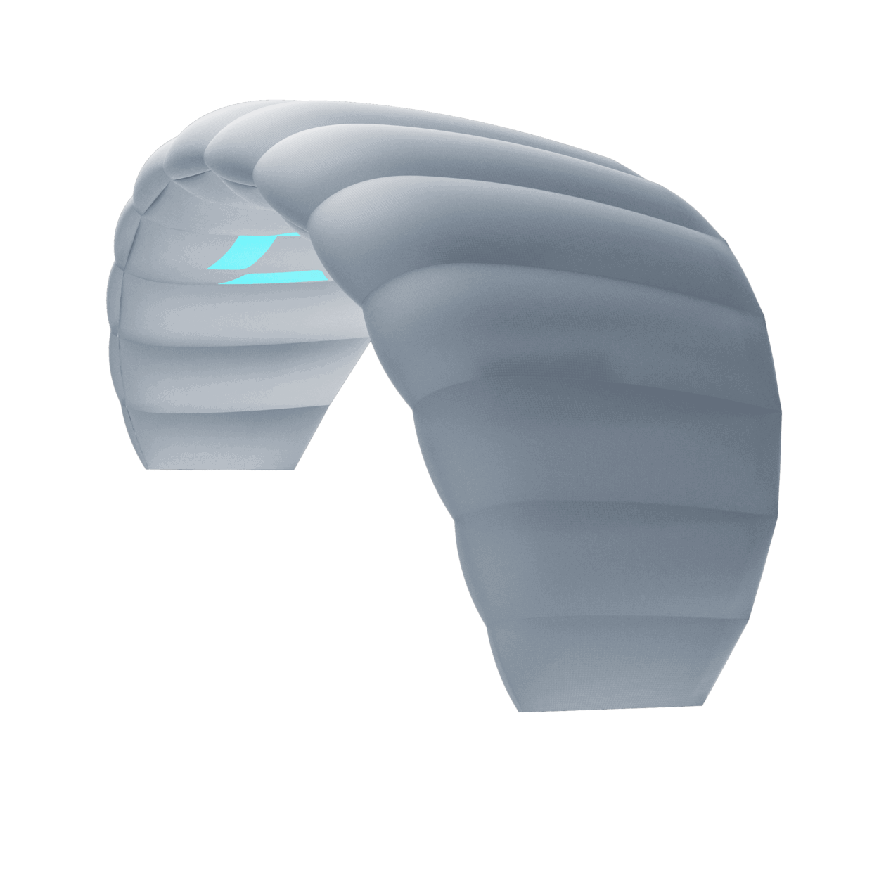 Duotone Trainer Lizard without leash 2025