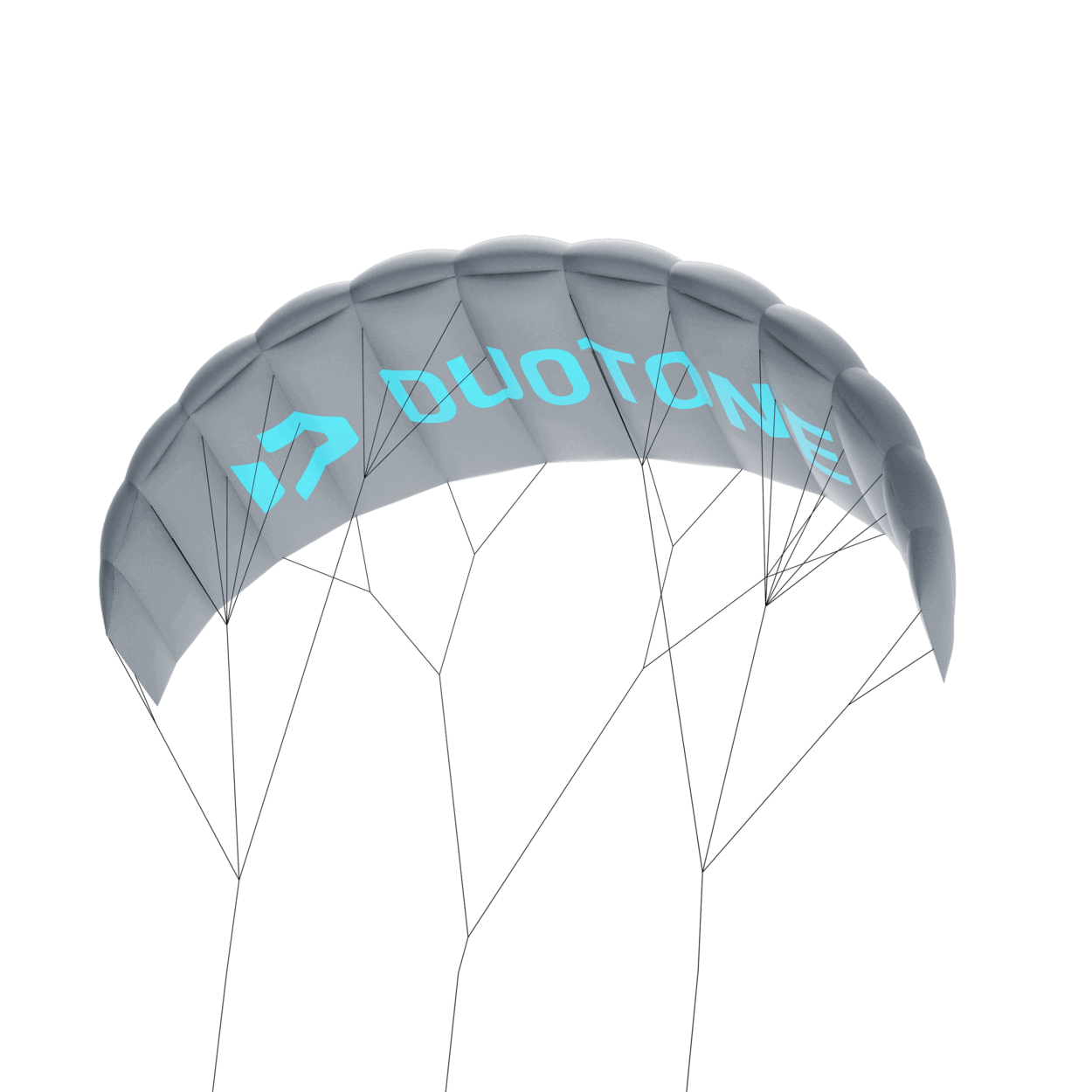 Duotone Trainer Lizard 2025